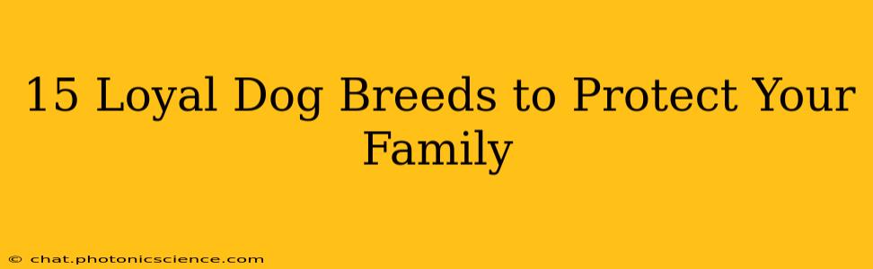 15 Loyal Dog Breeds to Protect Your Family