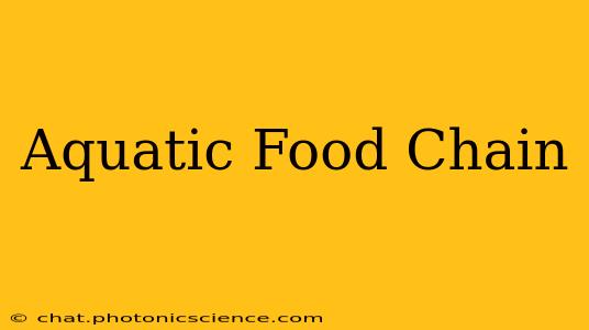 Aquatic Food Chain