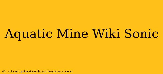 Aquatic Mine Wiki Sonic