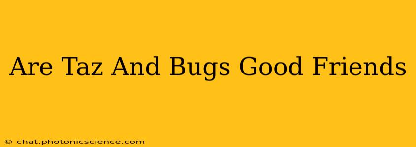 Are Taz And Bugs Good Friends