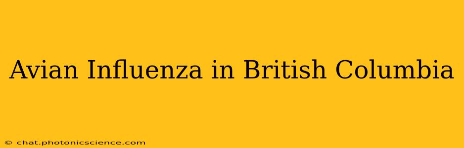 Avian Influenza in British Columbia