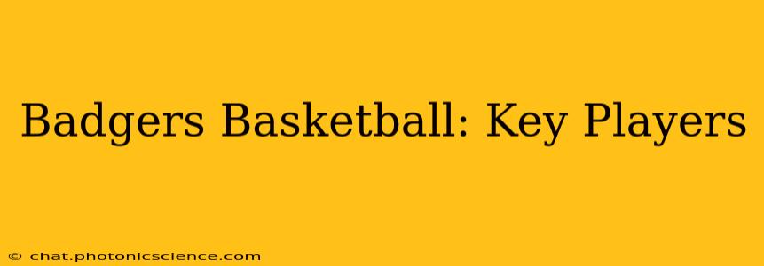 Badgers Basketball: Key Players