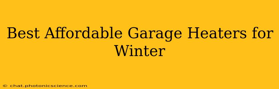 Best Affordable Garage Heaters for Winter