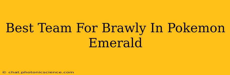 Best Team For Brawly In Pokemon Emerald