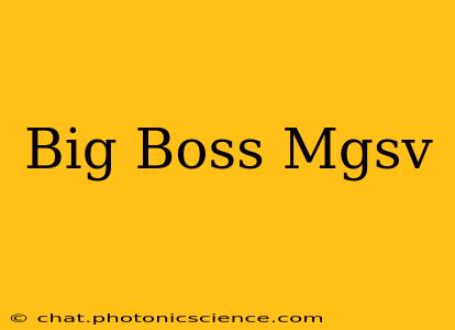 Big Boss Mgsv