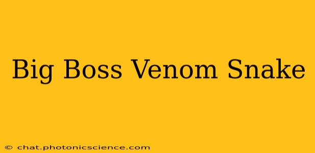 Big Boss Venom Snake