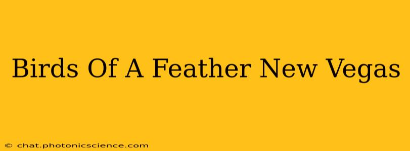 Birds Of A Feather New Vegas