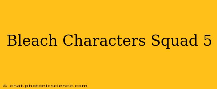 Bleach Characters Squad 5