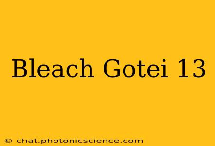 Bleach Gotei 13