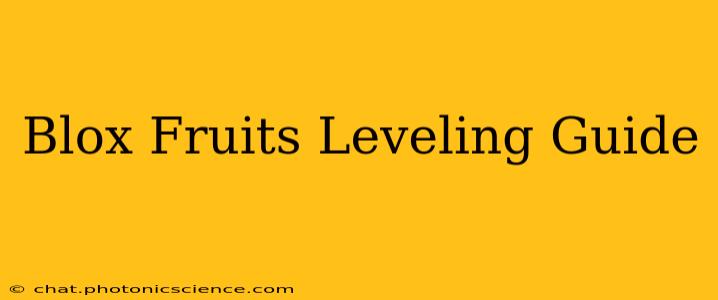 Blox Fruits Leveling Guide