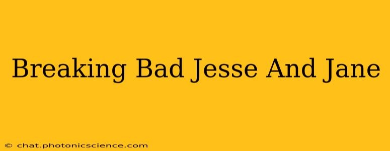 Breaking Bad Jesse And Jane