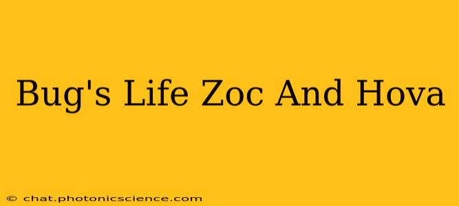 Bug's Life Zoc And Hova