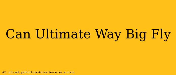 Can Ultimate Way Big Fly