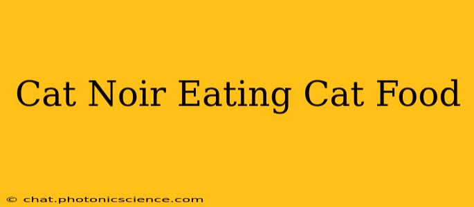 Cat Noir Eating Cat Food