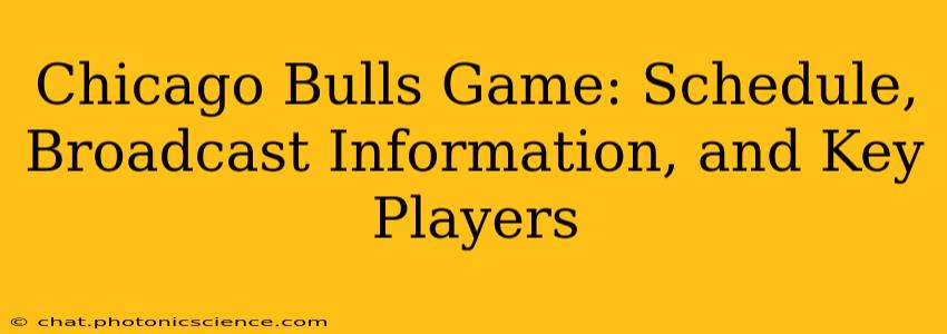 Chicago Bulls Game: Schedule, Broadcast Information, and Key Players