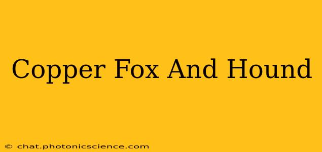 Copper Fox And Hound