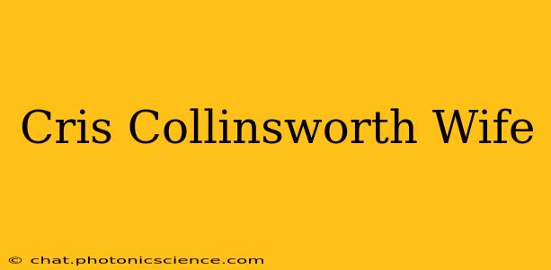 Cris Collinsworth Wife