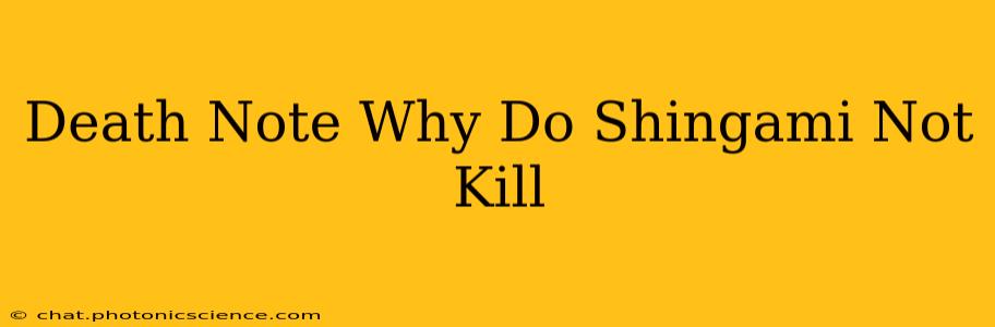 Death Note Why Do Shingami Not Kill