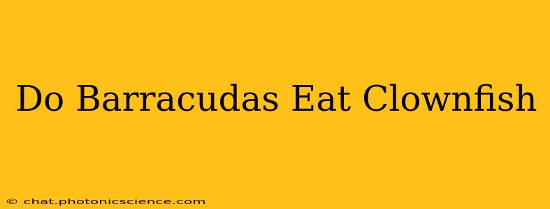 Do Barracudas Eat Clownfish