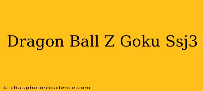 Dragon Ball Z Goku Ssj3