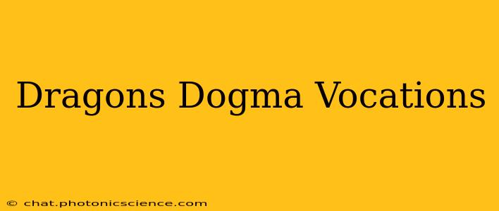 Dragons Dogma Vocations