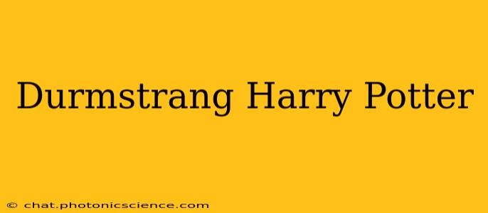 Durmstrang Harry Potter