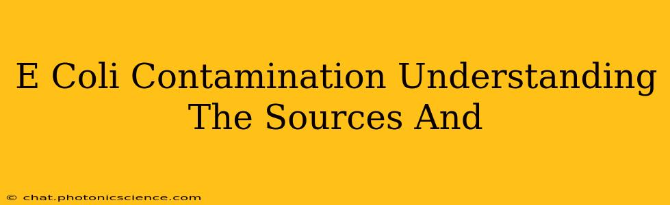 E Coli Contamination Understanding The Sources And
