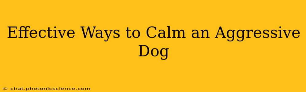 Effective Ways to Calm an Aggressive Dog