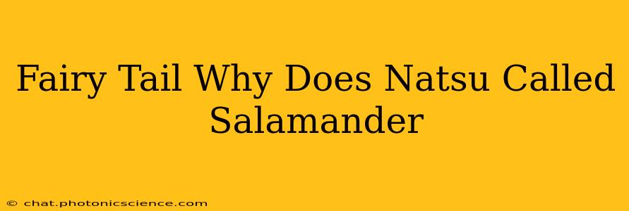 Fairy Tail Why Does Natsu Called Salamander