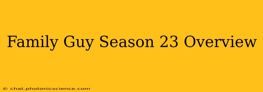 Family Guy Season 23 Overview