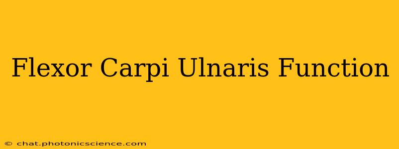 Flexor Carpi Ulnaris Function