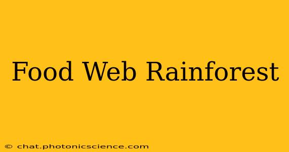 Food Web Rainforest