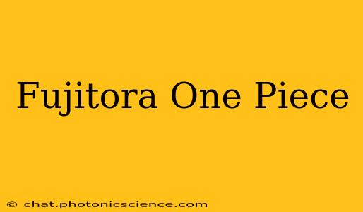 Fujitora One Piece