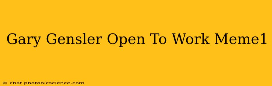 Gary Gensler Open To Work Meme1