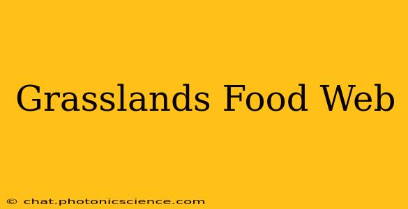 Grasslands Food Web