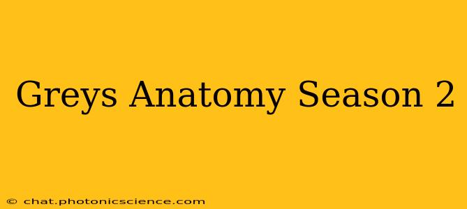 Greys Anatomy Season 2