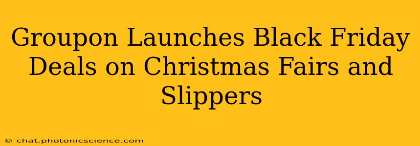 Groupon Launches Black Friday Deals on Christmas Fairs and Slippers