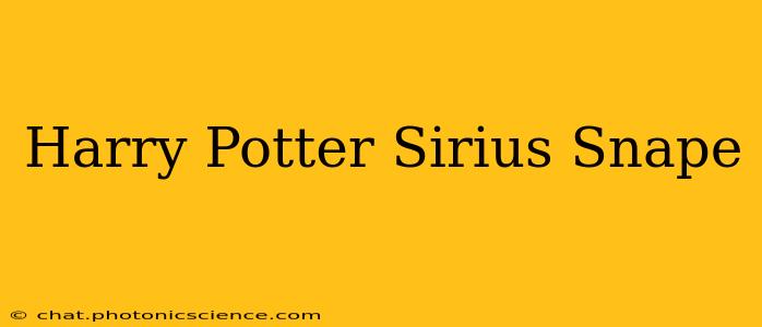Harry Potter Sirius Snape