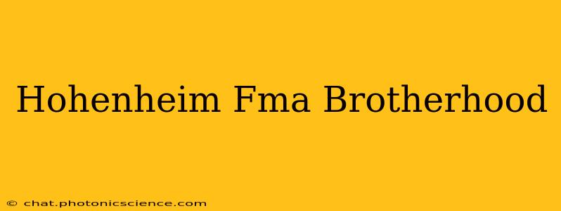 Hohenheim Fma Brotherhood