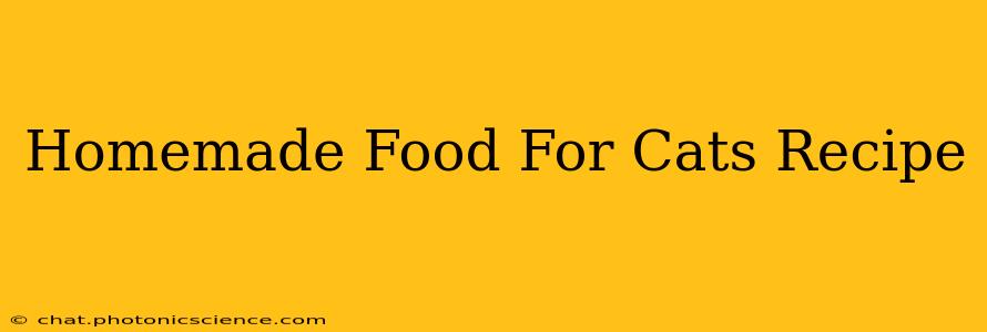 Homemade Food For Cats Recipe