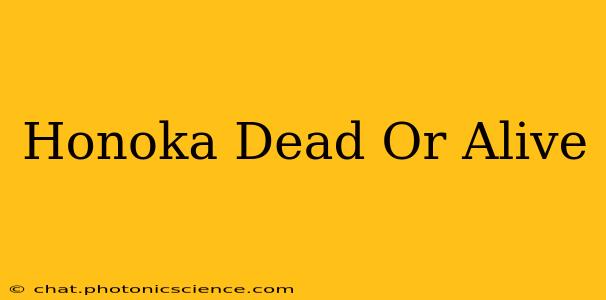 Honoka Dead Or Alive