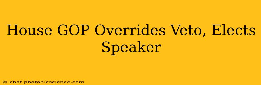House GOP Overrides Veto, Elects Speaker