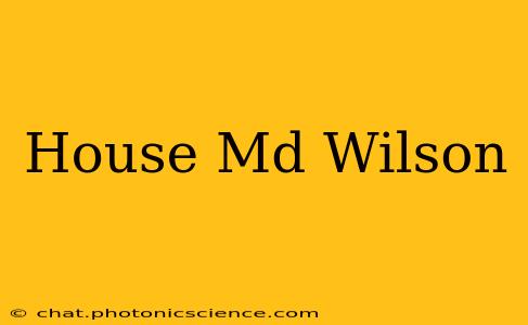 House Md Wilson