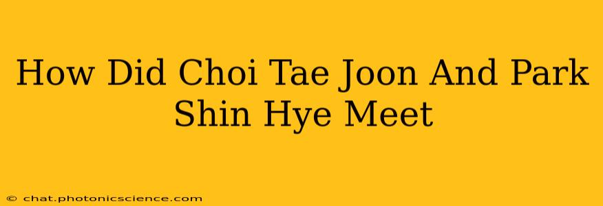 How Did Choi Tae Joon And Park Shin Hye Meet