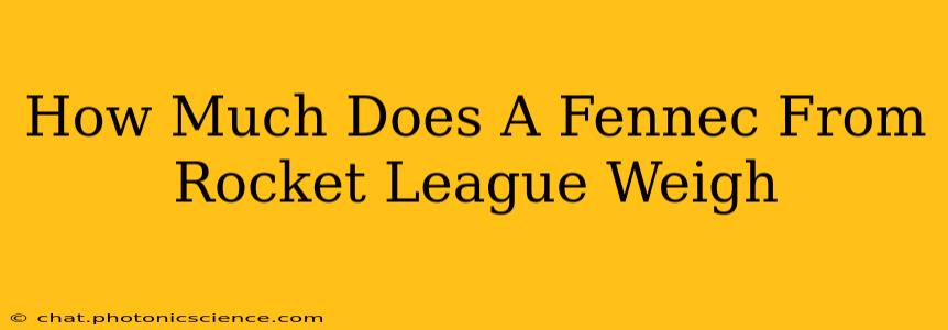 How Much Does A Fennec From Rocket League Weigh