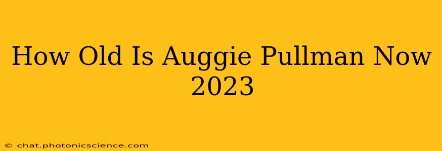 How Old Is Auggie Pullman Now 2023