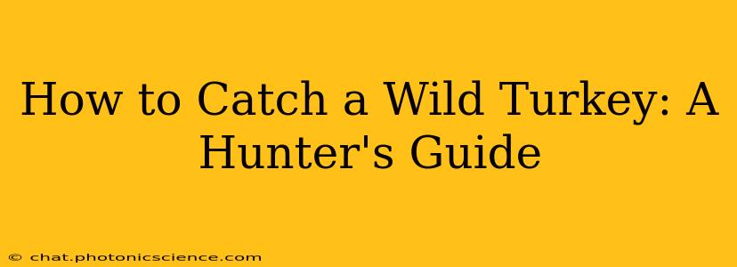 How to Catch a Wild Turkey: A Hunter's Guide