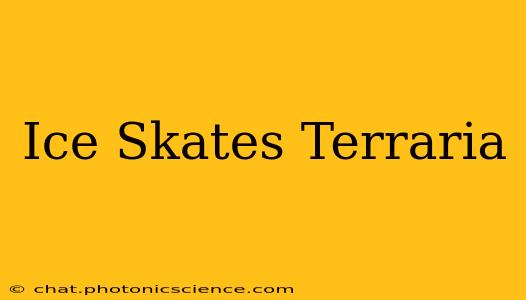Ice Skates Terraria