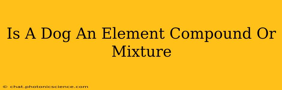 Is A Dog An Element Compound Or Mixture