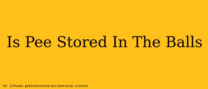 Is Pee Stored In The Balls